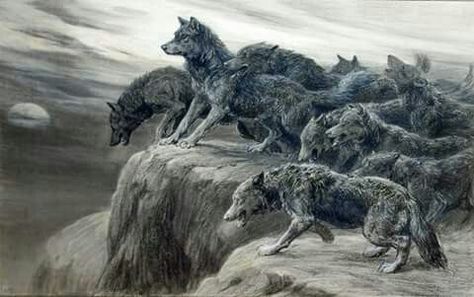 Drawing Wolves Howling At The Moon, Pack Of Wolves, Paul Lahote, Wolves Howling, Howling At The Moon, Wolf Artwork, Werewolf Art, Academic Art, Canine Art