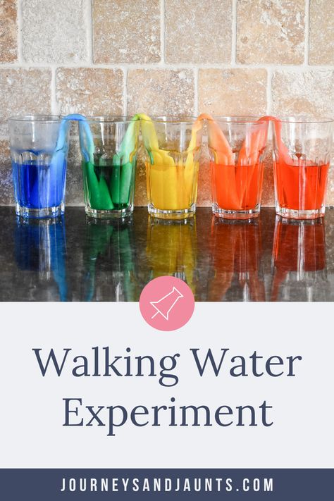 Traveling Rainbow Experiment, Walking Rainbow Experiment, Walking Water Experiment, Making A Rainbow, Walking Rainbow, Rainbow Experiment, Capillary Action, Walking Water, March Themes