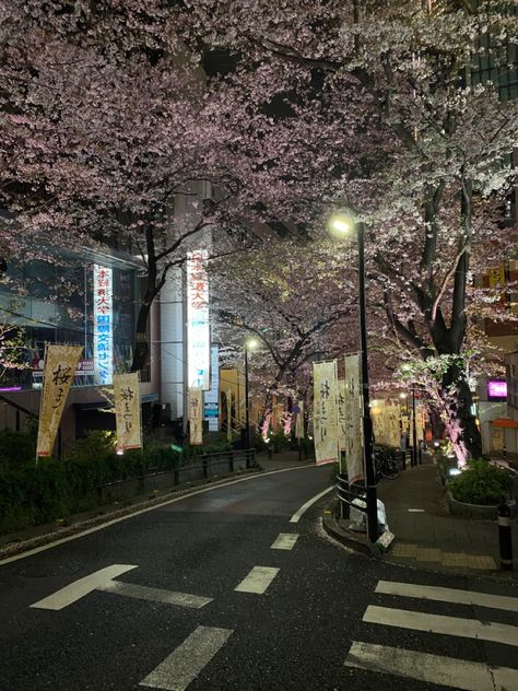 Oboreru Knife, Tokyo At Night, Japan Vibes, City Core, Sakura Season, Tokyo Aesthetic, Season Aesthetic, Tokyo Streets, Japan Spring