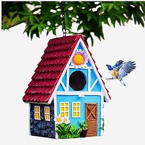 Decorative Bird Houses Paint, Birdhouse Painting, House Courtyard, Hand Painted Birdhouses, Tree Swallow, Bluebird House, Cute Little Houses, Birds Design, Bird Houses Painted