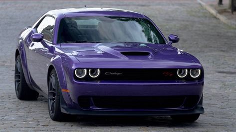 Scat Pack Challenger, 2019 Dodge Challenger, Dodge Challenger Scat Pack, Challenger Rt, Dodge Charger Daytona, Challenger Srt Hellcat, Dodge Challenger Srt Hellcat, Charger Srt, Dodge Muscle Cars