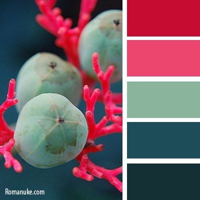 Teal Matching Colors, Pink Red Teal Color Palette, Red And Teal Color Palette, Teal And Red Color Palette, Odd Color Palette, Odd Color Combinations, Interesting Color Combinations, Deep Teal Color Palette, Bathroom Blue