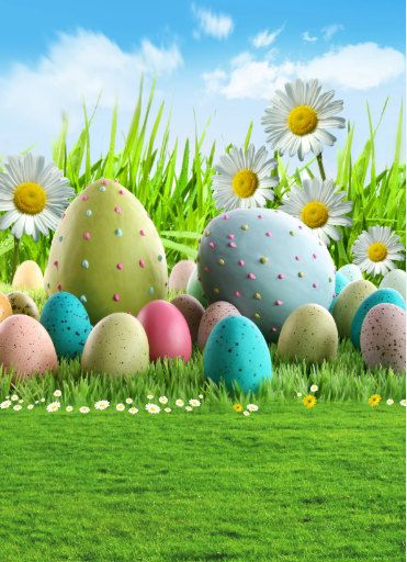 Giant Easter Eggs, Green Grass Background, Flowers Backdrop, Easter Photography, Easter Backdrops, Eggs Flowers, Photos Booth, Muslin Backdrops, Spring Photography