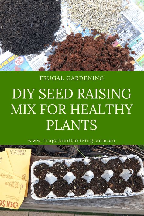 diy seed raising mix Vege Garden Ideas, Vege Garden, Frugal Gardening, Seed Raising, Seed Starting Mix, Seed Starting, Garden Seeds, Get Better, Garden Ideas