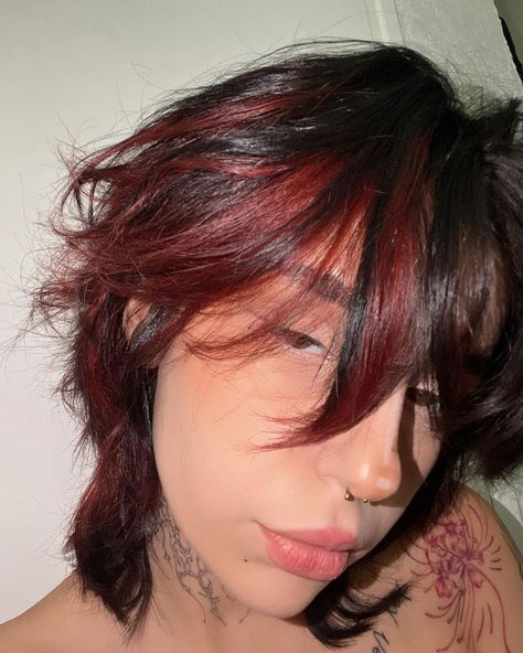 Red Hair Dye Ideas For Short Hair, Red Streaks Short Hair, Short Hair Red Highlights, Short Black Hair With Red Highlights, Red And Black Mullet, Black And Red Hair Wolfcut, Dark Red Mullet, Red Skunk Hair, Black And Red Hair Short Wolfcut