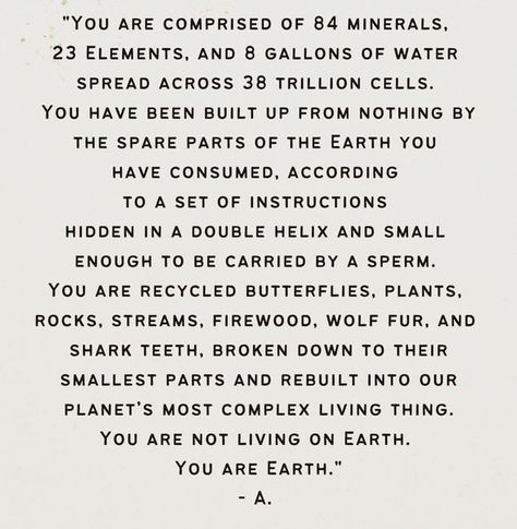 School of the Sacred Wild 🌙 only account on Instagram: "A reminder. Of who you are & how interconnected we all are. As one living Earth. By @ayeshaophelia #schoolofthesacredwild #quoteoftheday #youareearth #gaia" Elements Quote, Earth Day Quotes, Earth School, Earth Quotes, Parts Of The Earth, School Quotes, Earth Elements, Soul Quotes, Shark Teeth