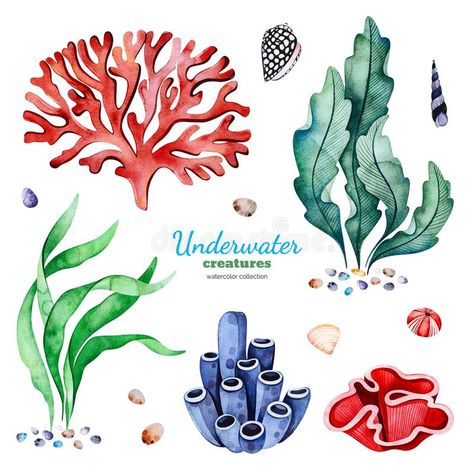 Reef Watercolor, Watercolor Coral Reef, Coral Reef Drawing, Coral Drawing, Coral Reef Art, Underwater Painting, Sea Plants, Sea Life Art, Coral Art