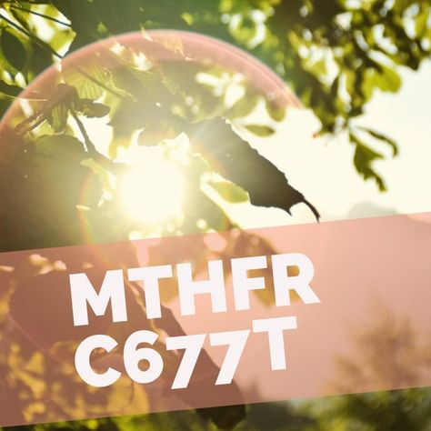 Living with MTHFR: C677T/T677T - MTHFR Experts Mthfr Diet, Mthfr C677t, Mthfr Gene Mutation, Mthfr Gene, Nutrition Supplements, Genetic Mutation, Chronic Migraines, Mood Changes, Adrenal Fatigue