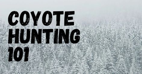 Coyote Hunting Tips for Beginners - The Utlimate Guide Coyote Hunting Gear, Coyote Trapping, Nature Hunt, Shtf Survival, Deer Hunting Tips, Coyote Hunting, Hunting Cabin, Hobby Ideas, Hunting Tips