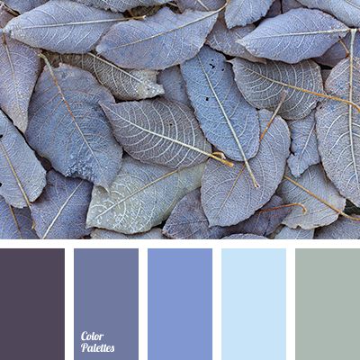 blue-color, canonical aubergine, grey-olive, hoarfrost color, light blue, violet color, winter color, winter color palette, winter color solution, winter in the city colors, winter palette. Cold Color Palette, Pallets Color, Color Palette For Home, Grey Bedroom Paint, In Color Balance, Bathroom Downstairs, Palettes Color, Cold Colors, Combination Color