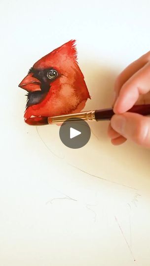 Diy Cardinal Painting, How To Paint A Cardinal In Watercolor, Paint Cardinal Tutorial, Winter Cardinal Painting Easy, Cardinal Christmas Cards, Watercolor Female Cardinal, Watercolor Cardinal, Cardinal Watercolor, Color Tutorial