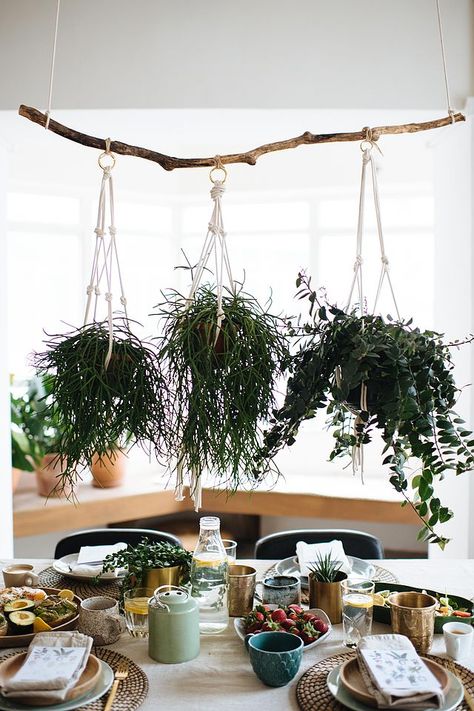 DIY Hanging Plant Centrepiece & A Green Breakfast Plant Centerpieces, Covered Backyard, Green Breakfast, Hanging Plants Outdoor, Hanging Plants Diy, Leaf Projects, Creative Planter, Diy Hanging Planter, Diy Hanging