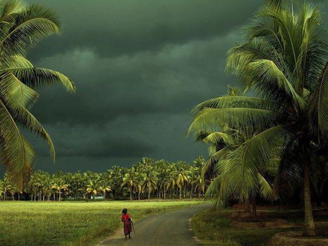 Kerala, India - where the rain clouds hang low enough to scrape the water off with your fingertips... India Kerala, Amazing India, God's Own Country, Western Ghats, Kerala India, Storm Clouds, Village Life, South India, Incredible India