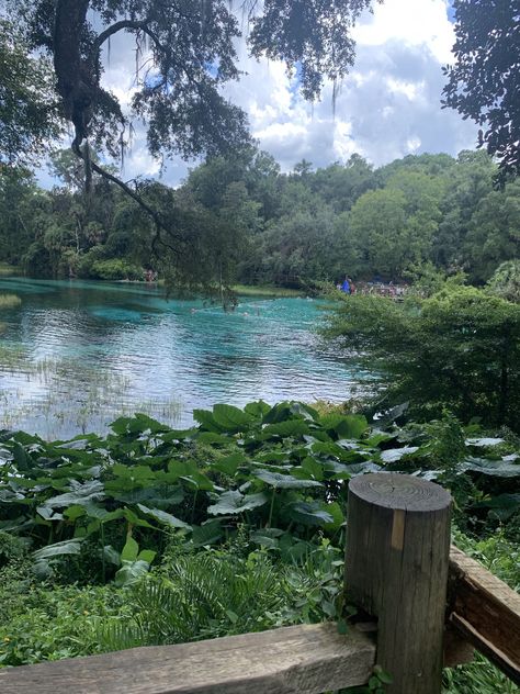 10 Fun Things to Do in Dunnellon February 2023 | Expedia Rainbow Springs State Park, Rainbow River, Rainbow Springs, Vacation Activities, Cheap Things To Do, Budget Vacation, February 2023, Free Things To Do, Future Life