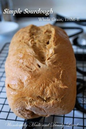 Simple Sour Dough {E} Dough Bread Recipe, Gluten Free Soda Bread, Thm Baking Blend, Trim Healthy Recipes, Trim Healthy Mama Plan, Trim Healthy Momma, Trim Healthy Mama Recipes, Sour Dough, Sourdough Bread Recipe