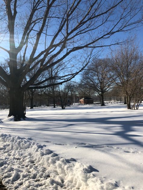 Sunny Snowy Day, Sunny Winter Day, A Snowy Day, France Aesthetic, Winter Activity, Snow Pictures, Snowy Weather, Father Time, Bright Winter