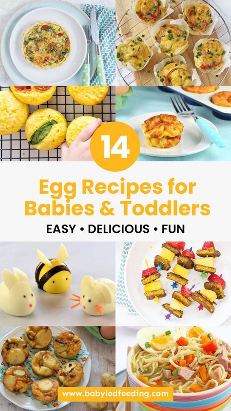 Easy egg recipes for babies and toddlers. These baby led weaning lunch and breakfast recipes will be a hit with all the kiddos. Simple Egg Recipes, Yummy Egg Recipes, Egg Recipes For Kids, Easy Toddler Lunches, Recipes For Babies, Toddler Picky Eater, Baby Lunch, Egg Lunch, Kid Friendly Breakfasts