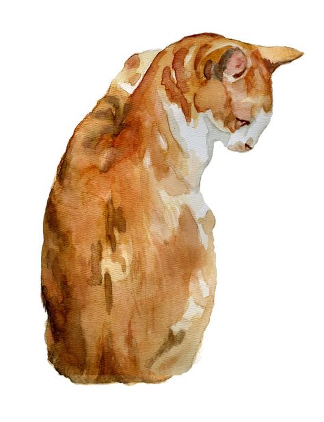 Grey Tabby Cat, Grey Tabby, Orange Watercolor, Orange Tabby Cats, Brave Enough, Orange Cats, Cat Artwork, Orange Tabby, Watercolor Images