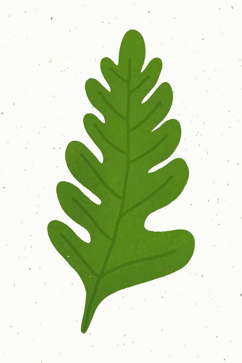 Green oak leaf design element vector | free image by rawpixel.com / Aum Botanical Decoration, Leaves Doodle, Plant Logos, Free Illustration Images, Leaf Illustration, Plant Vector, Watercolor Tree, Leaf Drawing, Botanical Decor