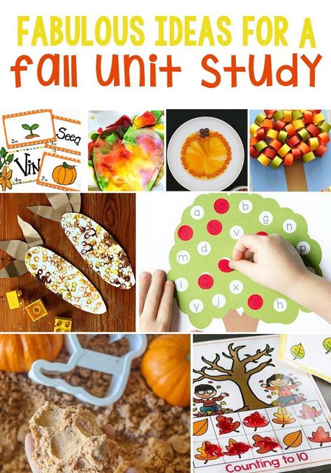 Prek Units Of Study, September Unit Studies, November Preschool Lesson Plans, Fall Theme Activities, Luke Core, Fall Unit Study, Fall Themed Activities, Fall Alphabet, Unit Study Ideas