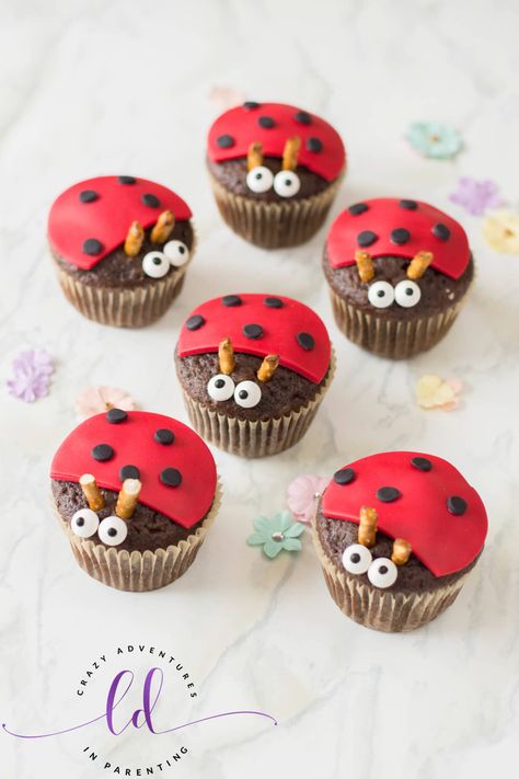 Ladybug Cookies, Bug Cupcakes, Cherry Dump Cake Recipe, Emoji Cupcakes, Ladybug Cupcakes, Snacks Kids, Crazy Adventures, Cake Mix Ingredients, Snowman Cupcakes