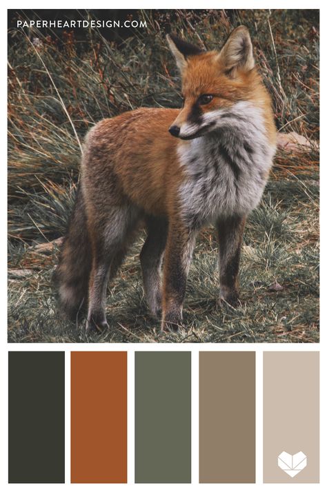 Color Palette For Burnt Orange, Earthy Green And Orange Aesthetic, Nature Inspired Wall Colors, Green Gray Orange Color Palette, Color Pallet With Burnt Orange, Moody Orange Color Palette, Grey Green Orange Bedroom, Green And Rust Colour Palette, Color Pallets Inspiration Earthy