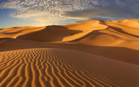 Continuing our series on the most dramatic travel experiences on the planet, our experts reflect on other-worldly landscapes and the sands of time. Dune Aesthetic, Desert Images, Tropical Desert, Land Scapes, Africa Holiday, Sand Landscape, Best Of Ireland, Desert Area, Gobi Desert