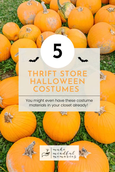 5 tried & true DIY Halloween costumes that you can buy at the thrift store or find in your closet! Thrift Store Costumes, Thrift Store Halloween Costume, Thrift Store Halloween, Costumes Diy, Diy Halloween Costumes, Diy Costumes, Diy Halloween, Halloween Diy, Pumpkin Patch