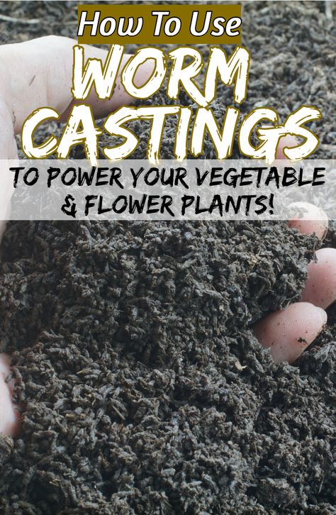 Worm Castings How To Use, Vermiculture Worm Farm Diy, Earthworm Farming, Worm Juice, Tennessee Gardening, Fertilizer For Flowers, Earthworm Farm, Raising Worms, Vermicomposting Worm Farm