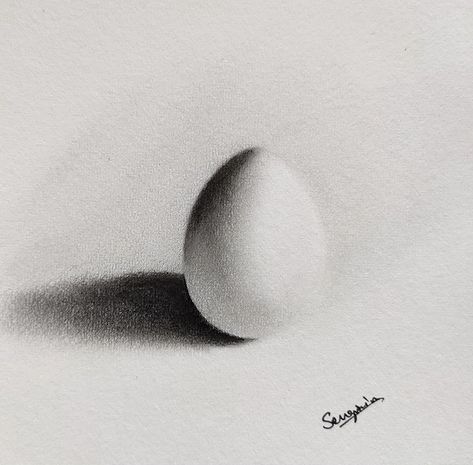 Realistic Egg Drawing, Egg Shading Drawing, Drawing Eggs Art, How To Draw Egg, Form Art Drawing, Egg Drawing Art, Egg Sketch, Fruit Sketches, Posture Drawing