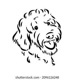 Aussiedoodle Tattoo, Labradoodle Line Drawing, Labradoodle Outline, Cockapoo Tattoo Outline, Labradoodle Silhouette, Goldendoodle Tattoo, Labradoodle Tattoo, Poodle Vector, Labradoodle Drawing