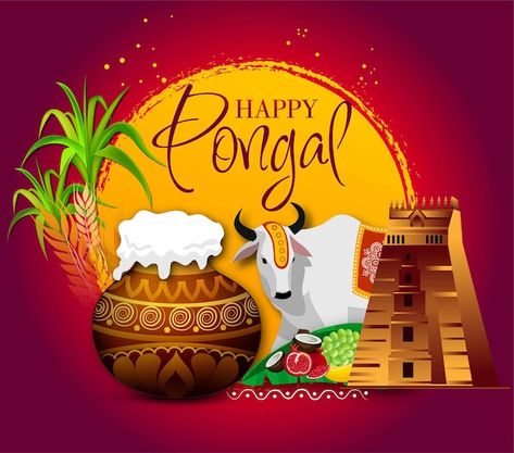 Pongal Poster Design, Pongal Aesthetic, Pongal Posters, Pongal Wishes Images, Pongal Illustration, Pongal Poster, Happy Pongal Images, Pongal Drawing, Pongal Background