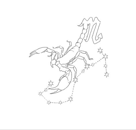 Constellation Scorpio, Scorpion Tattoo, Fine Line Tattoo, Line Tattoo, Fine Line, All Tattoos, Art Project, Tattoos And Piercings, Scorpion