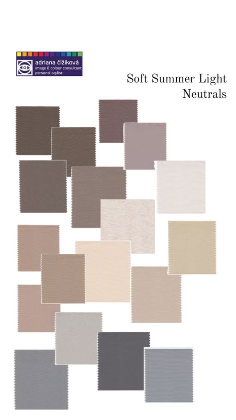 Soft Summer Light, Summer Skin Tone, Cool Summer Palette, Soft Summer Palette, Soft Summer Color Palette, Soft Summer Colors, Seashell Painting, Touch Of Gray, Summer Color Palette