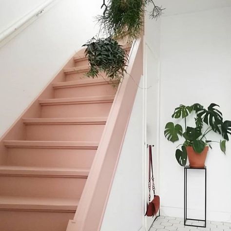 Pure & Original - Eco Paint on Instagram: “Wow, we do love a pink stair.... This is our floor paint Carazzo in the color Skin Powder by @studioflame.nl #pureandoriginal #paint…” Redo Stairs, Painted Staircases, Building Stairs, Deco Rose, Stair Case, Painted Stairs, Interior Stairs, House Stairs, Painted Floors