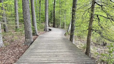 10 Best Hiking Trails In and Near Williamsburg, Virginia Hike Virginia, Hikes In Virginia, Williamsburg Vacation, Smith Mountain Lake, City Parks, Williamsburg Virginia, Riverside Park, Mountain Park, Park Trails