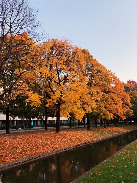 Germany Autumn Aesthetic, German Autumn, Fall In Germany, Autumn In Germany, Autumn Germany, Fall Core, South Germany, Fall Outdoors, Hohenzollern Castle