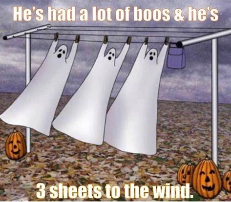 Halloween Funny Pictures, Halloween Funnies Humor, Funny Halloween Jokes, Happy Halloween Funny, Happy Halloween Pictures, Halloween Jokes, Fall Humor, Halloween Memes, Funny Cartoons Jokes