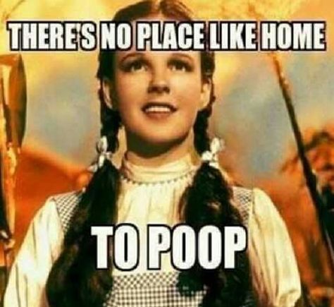 There's no place like home...to poop! Potty Humor Hilarious, Wizard Of Oz Memes, Chronic Illness Humor, Poop Jokes, Illness Humor, Potty Humor, There's No Place Like Home, Humor Hilarious, No Place Like Home