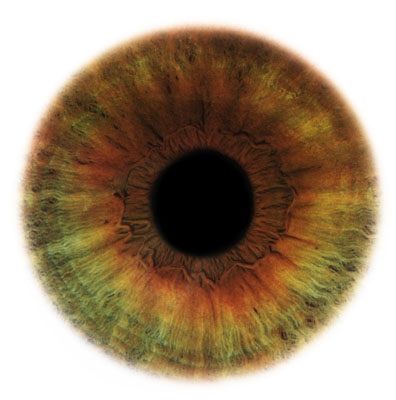 Human Eye, Irises, Human, Orange, Yellow, Green