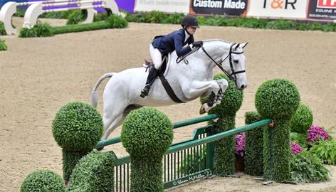 White Horse Jumping, Preppy Island, Hunter Derby, Hunter Jumping, Hunter Jumper Horses, Hunter Horse, Grey Horses, Horse Jumps, Horse Games