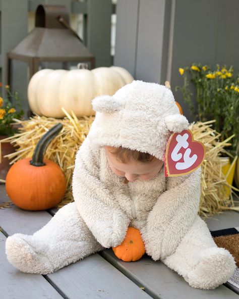 Beanie Baby Costume DIY- Super Easy! - Gina Michele Baby Beanie Baby Costume, Ty Bear Costume, Easy Infant Halloween Costumes, Halloween Baby Costumes Girl, Infant Boy Halloween Costume, Parent And Baby Halloween Costumes, Homemade Baby Halloween Costumes, 1 Month Old Halloween Costume, Diy Baby Halloween Costumes Girl