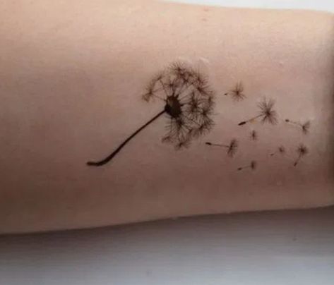 Tattoo Dandelion, Semi Colon, Dandelion Tattoo, Ribbon Tattoos, Ink Ideas, Leaf Tattoos, Maple Leaf Tattoo, Watercolor Tattoo, Flower Tattoo