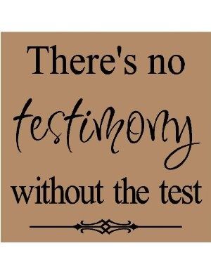 There's no testimony without the test Lds Quotes, Jesus Christus, The Test, Quotable Quotes, Faith Quotes, Great Quotes, Spiritual Quotes, Christian Quotes, Inspirational Words