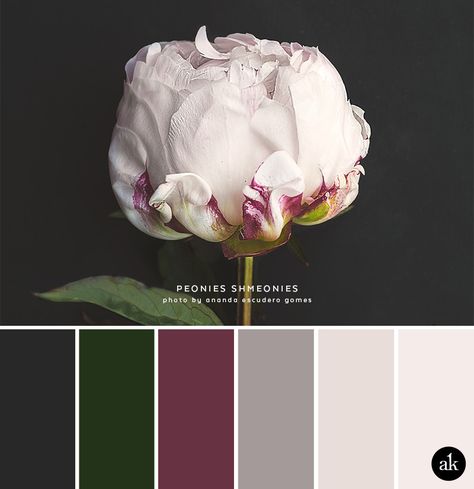 a peony-inspired color palette // slate gray, deep emerald green, sangria, taupe gray, blush pink petal Green Sangria, Color Palette For Home, Pintura Exterior, Grey Color Palette, Room Color Schemes, Green Colour Palette, Color Palate, Trik Fotografi, Slate Gray