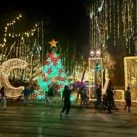 navidad en cali encendido de luces conmemorativas Cali Colombia, Cali, Vision Board, Collage, Christmas, Travel, Pins, Quick Saves