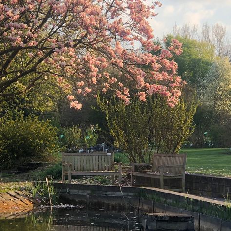 Spring Summer Astethic, Springtime Aesthetic Nature, Spring Aestethic Nature, Romantic Spring Aesthetic, Spring Season Aesthetic Nature, Mid Spring Aesthetic, Fresh Spring Aesthetic, Cool Spring Aesthetic, New England Spring Aesthetic