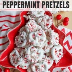 White Chocolate Peppermint Pretzels Peppermint Pretzels, Christmas Baking List, Peppermint Pretzel, Best Christmas Crafts, Holiday Party Treats, Peppermint Recipes, Pretzel Recipe, White Chocolate Peppermint, Easy Tasty Recipes