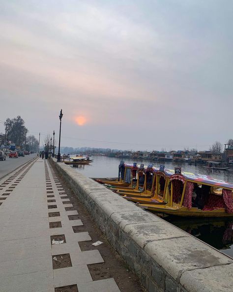 Boulevard , Dal Lake Kashmir Kashmir Aesthetic, Dal Lake Kashmir, Kashmir Trip, Srinagar Kashmir, Dal Lake, Mountain Aesthetic, Snap Streak Ideas Easy, Gym Photos, Adventure Aesthetic