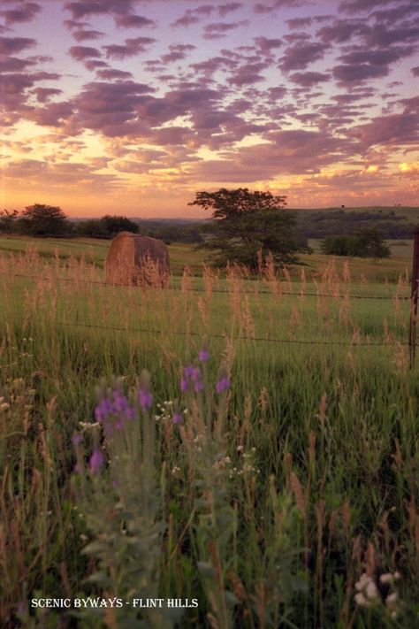 Sunsets are just part of the beautiful scenery in the Flint Hills, which is why a route through the region became a National Scenic Byway in 2005. Description from kansastransportation.blogspot.com. I searched for this on bing.com/images Flint Hills Kansas Pictures, Flint Hills Kansas, Kansas Landscape, Kansas Prairie, Prairie Art, Green Landscapes, Flint Hills, Stormy Sky, National Library